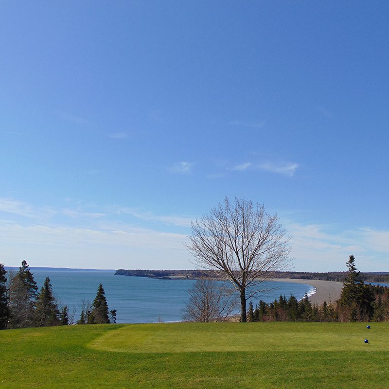 Oh, our beloved island! Friars Bay Inn & Cottages