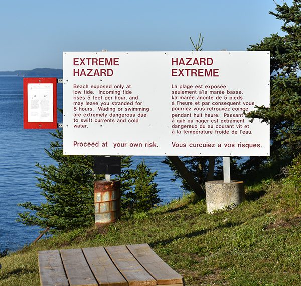 Events Amenities And Ongoing Activities On Campobello Island