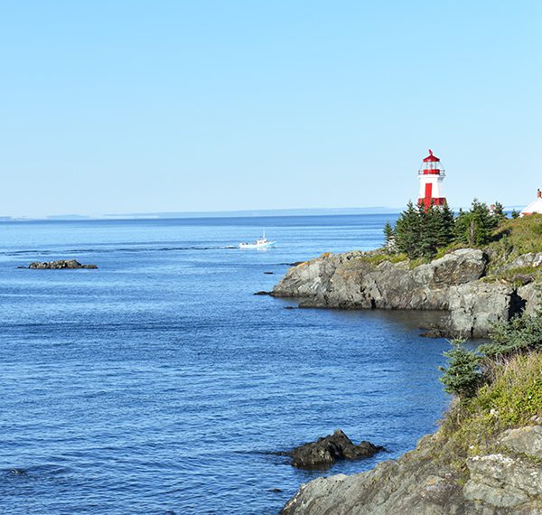 Events Amenities And Ongoing Activities On Campobello Island